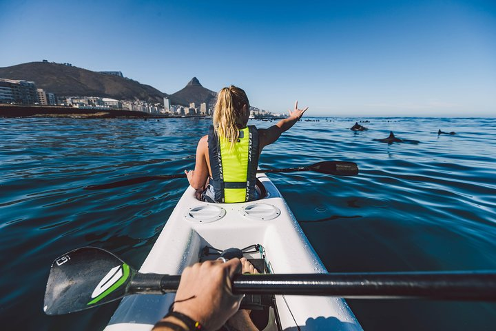 Paddle through the serene waters of Cape Town encountering playful ocean wildlife and soaking in stunning coastal views that redefine your experience of this iconic city.